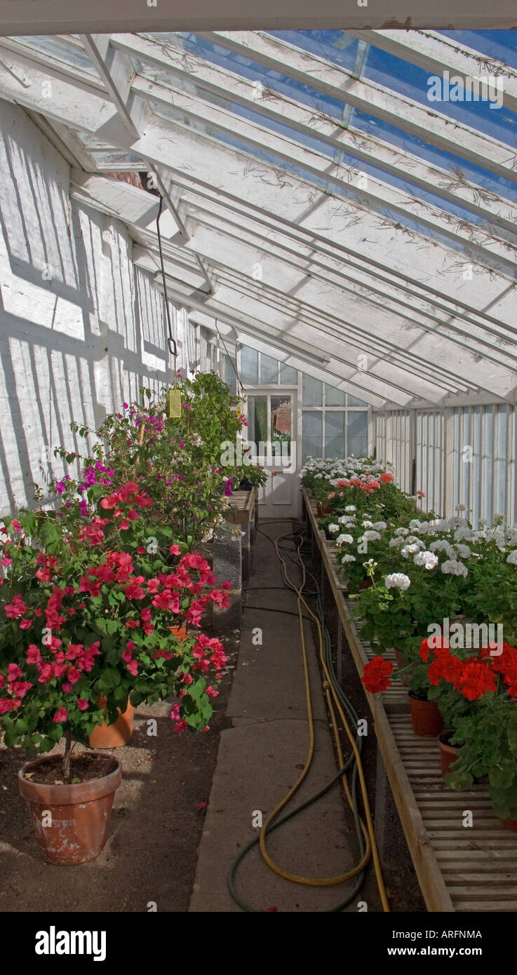 Lean to greenhouse hires stock photography and images Alamy