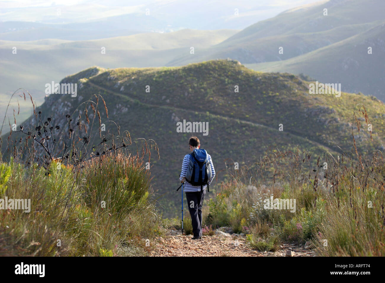 Woman walking the Boesmanskloof Trail near Greyton in the Riviersonderend Mountains Western Cape South Africa Stock Photo