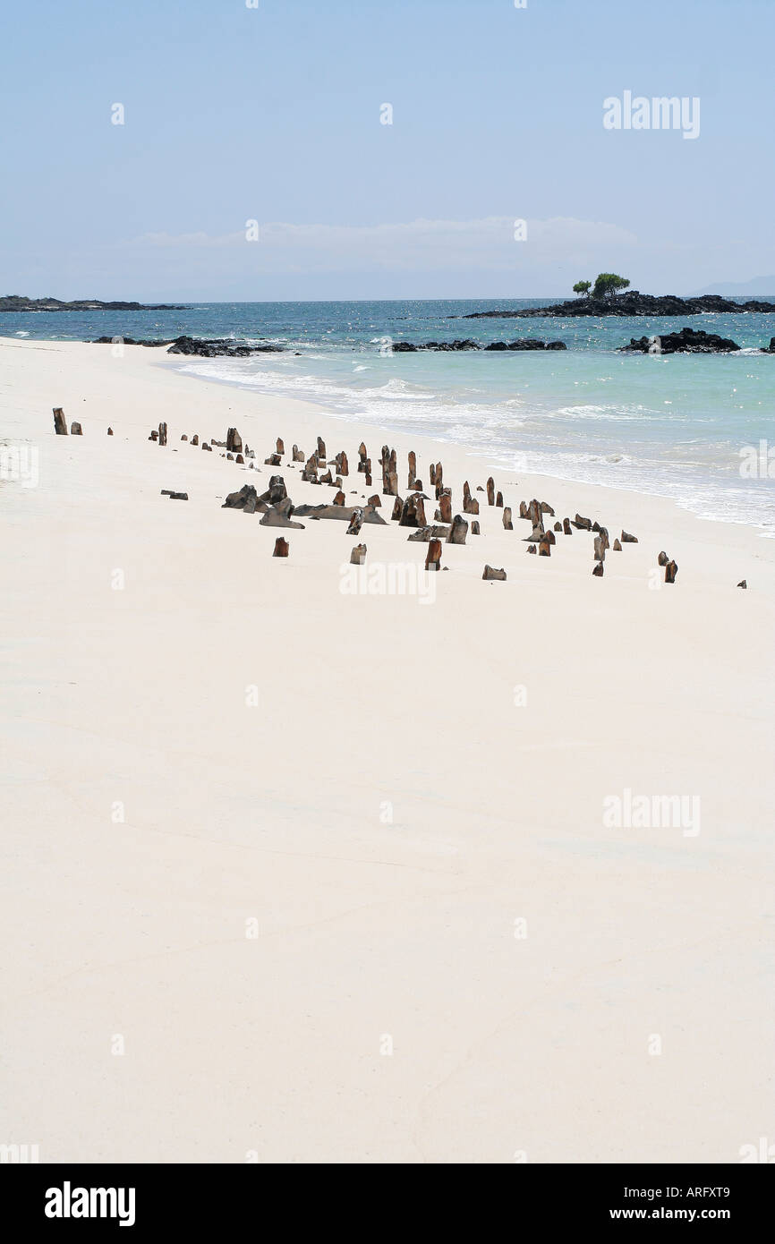 Galapagos islands beach hi-res stock photography and images - Alamy