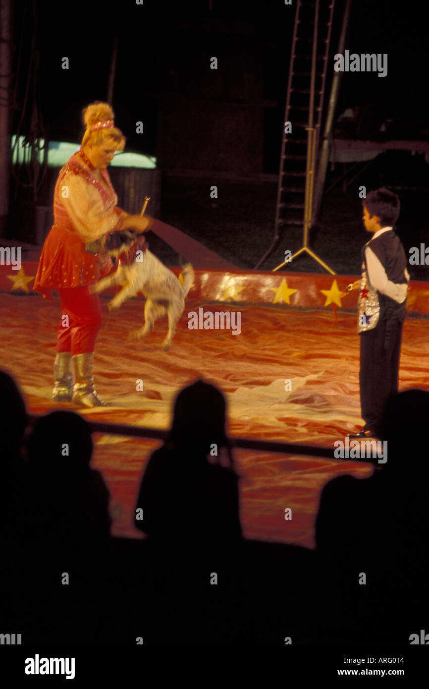 Dog circus act hi-res stock photography and images - Alamy