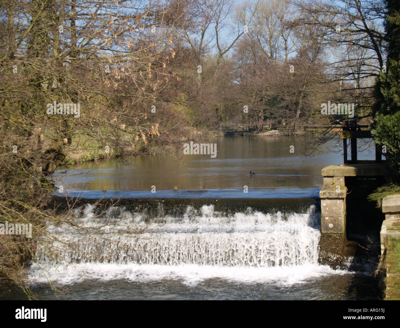 weir falling water longford reservoir trees river Stock Photo Alamy