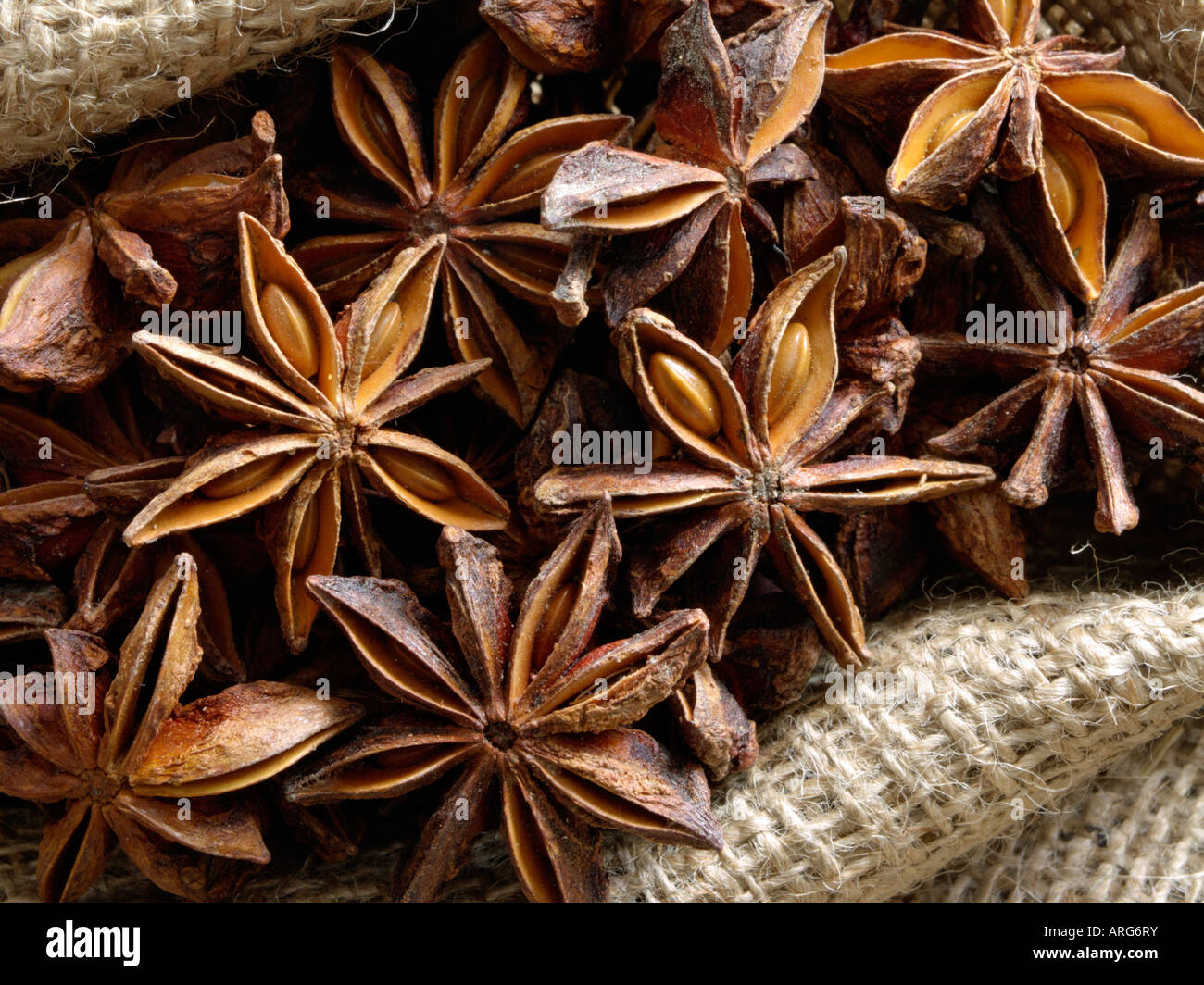 Chinese star anise (Illicium verum Stock Photo Alamy