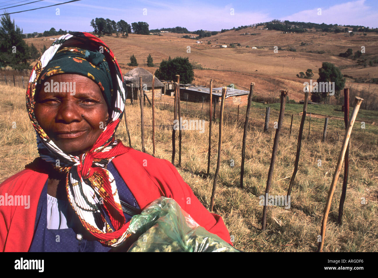 Colorful native Woman Near Mbabane the Capitol of Swaziland Stock Photo