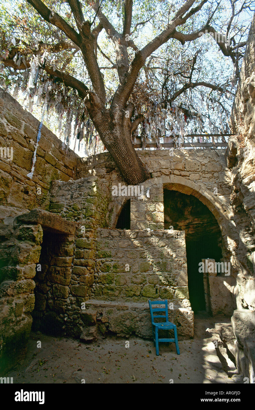 The sacred tree which is said to have the power to cure disease stands