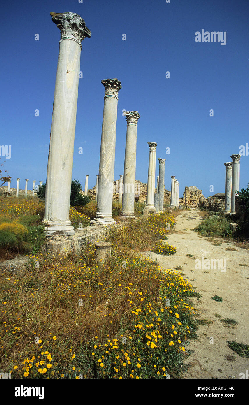 Wild flowers growing at the foot of colonnades at the ancient city of Salamis Stock Photo