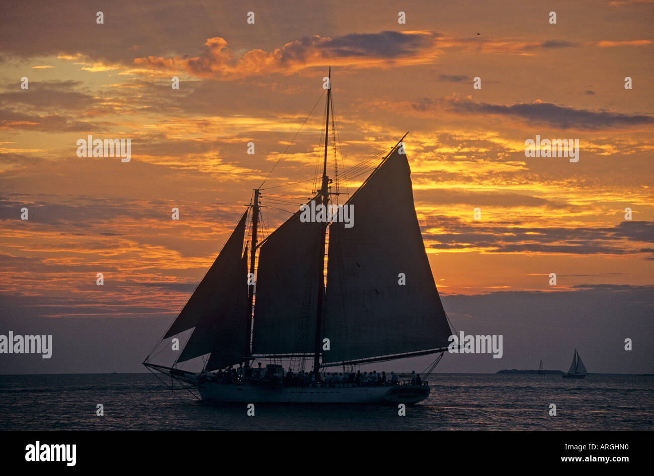 A fully rigged sailing yacht its sails silhouetted against the yellows ...