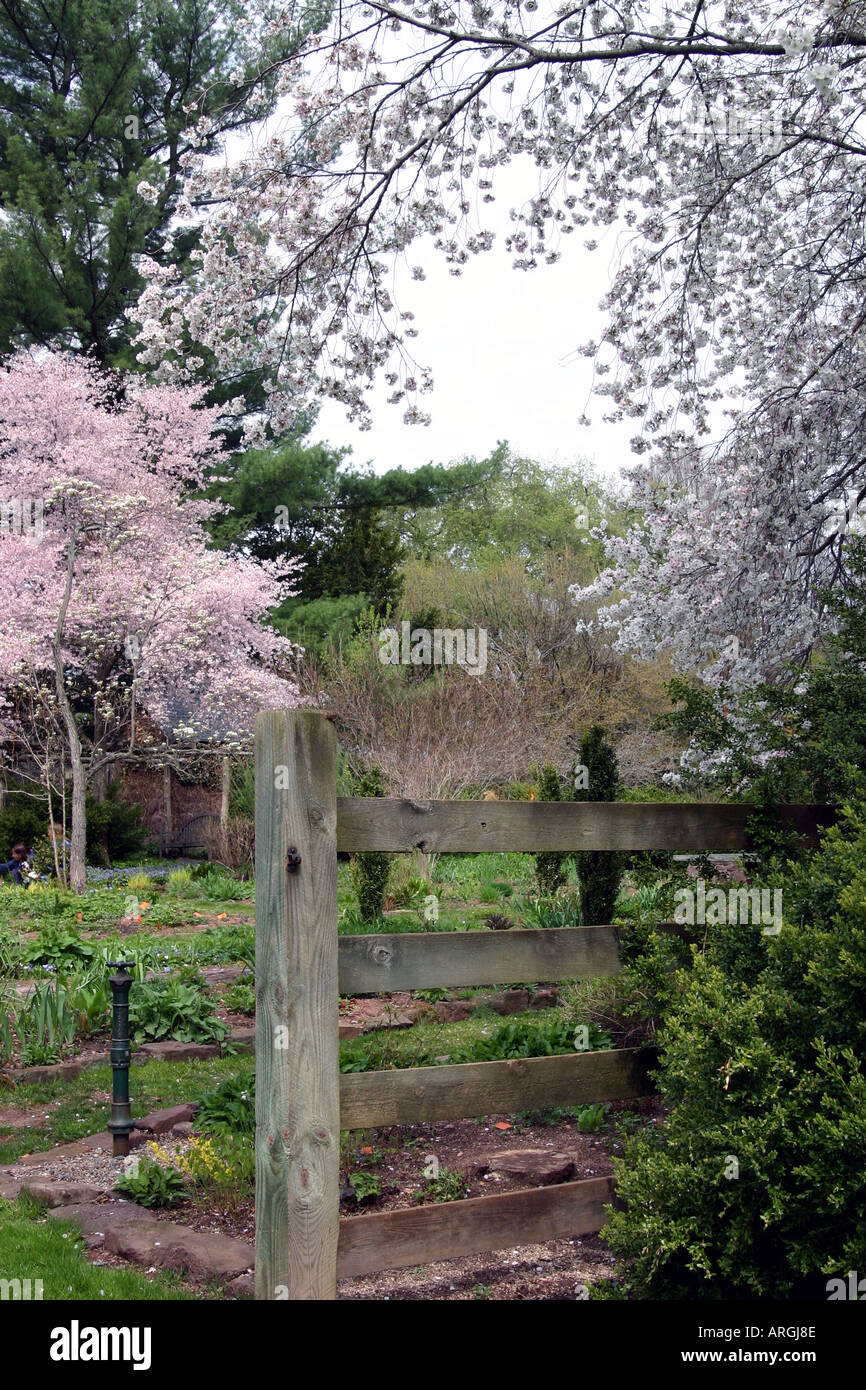A fence and surrounded by spring blossoms. Stock Photo