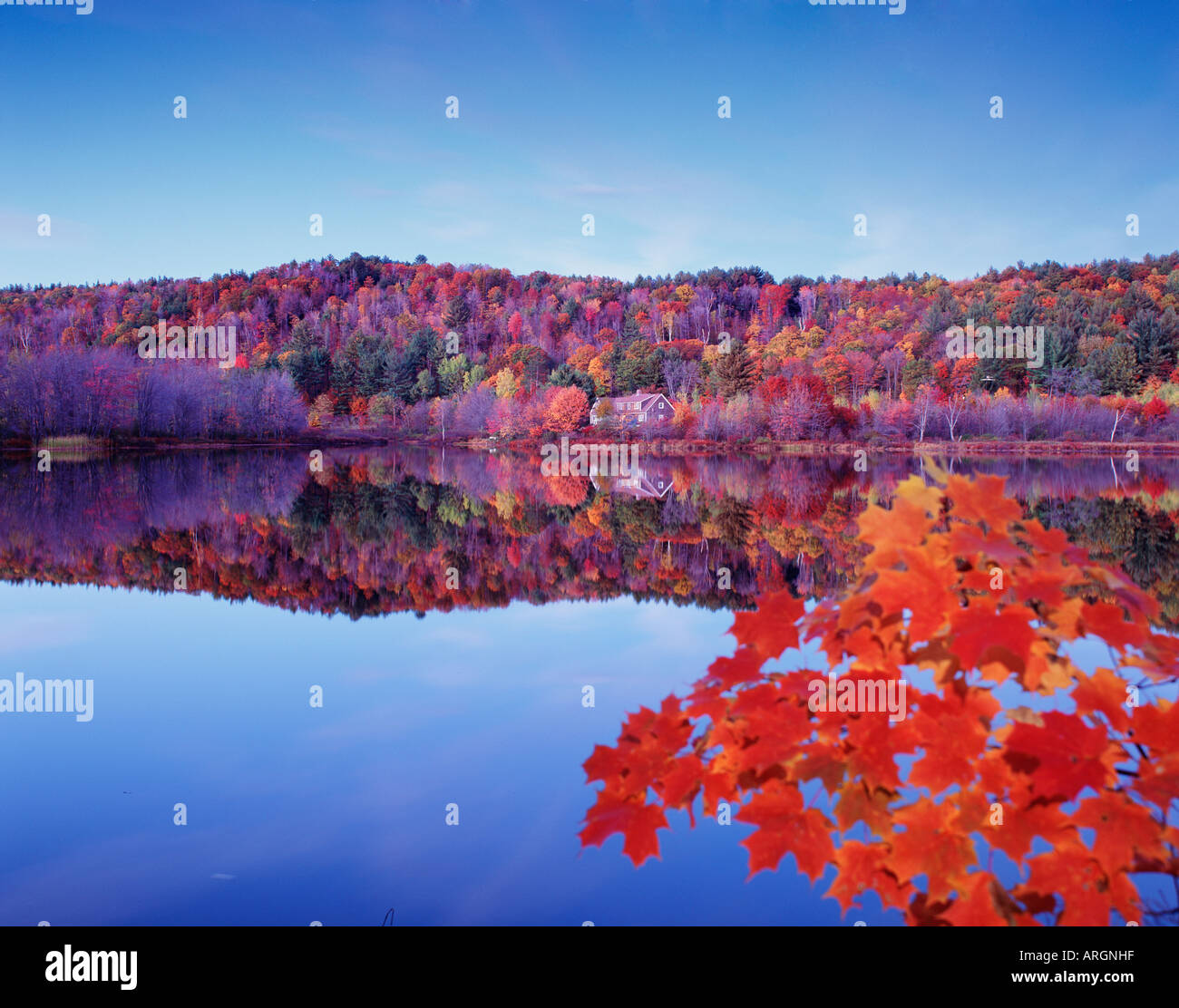 Near croydon hires stock photography and images Alamy