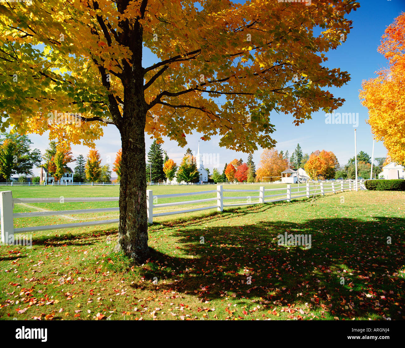 Common craftsbury common vermont hires stock photography and images