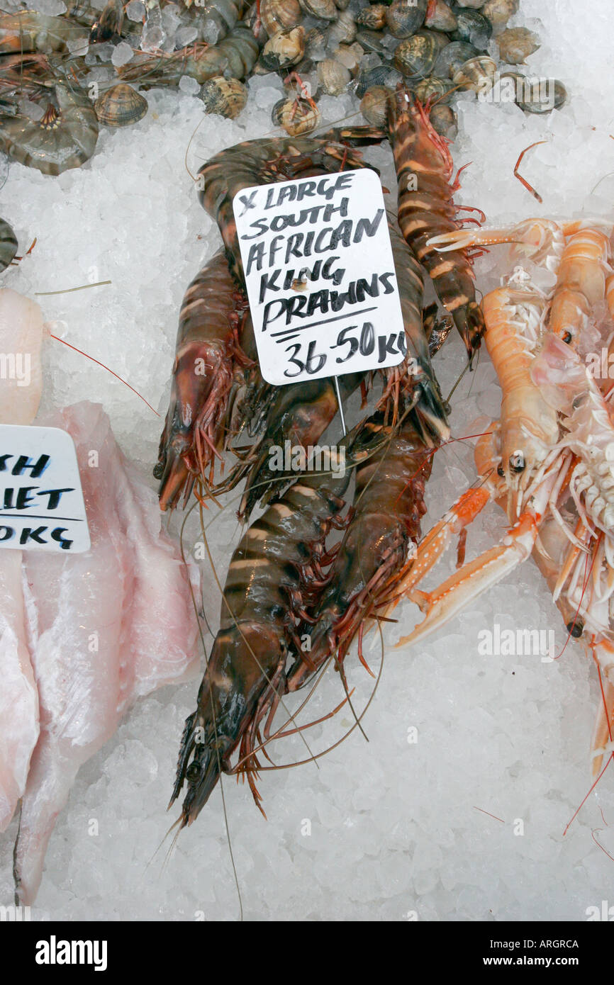 Large South African king prawns for sale on the fishmongers stall at