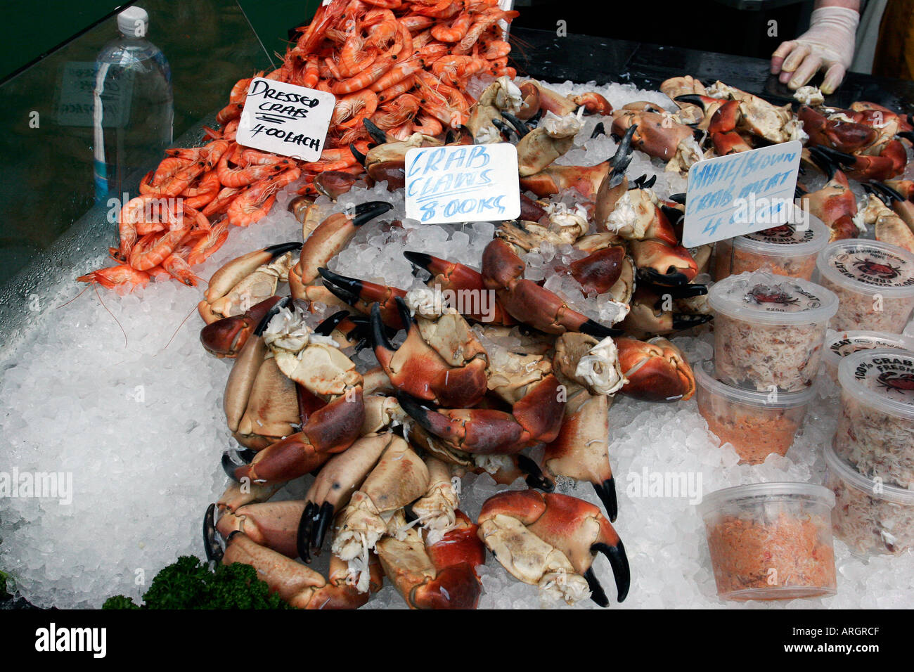 Crab claws for sale on ice at the fishmongers stall Borough Market