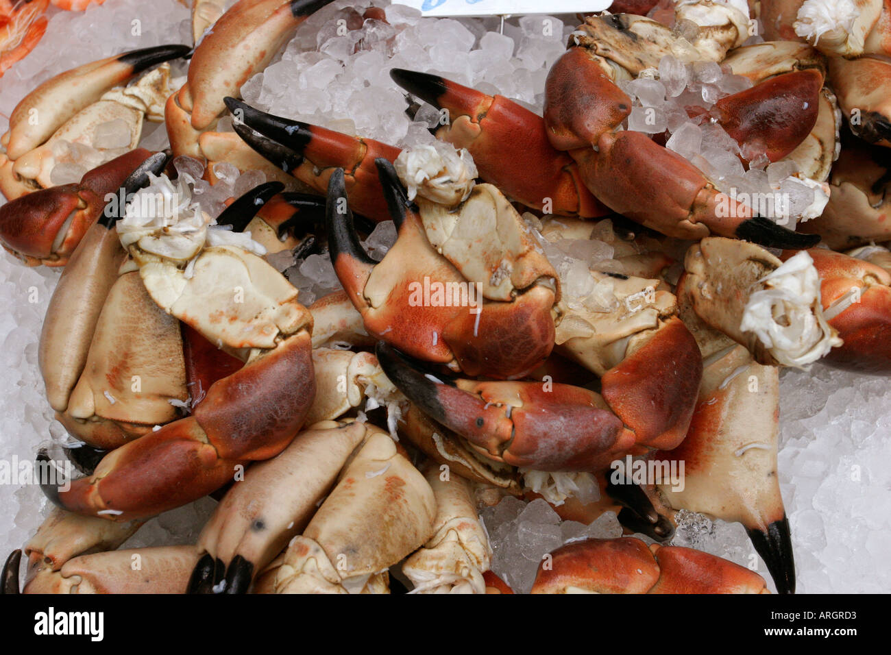 Crab claws for sale on ice at the fishmongers stall Borough Market