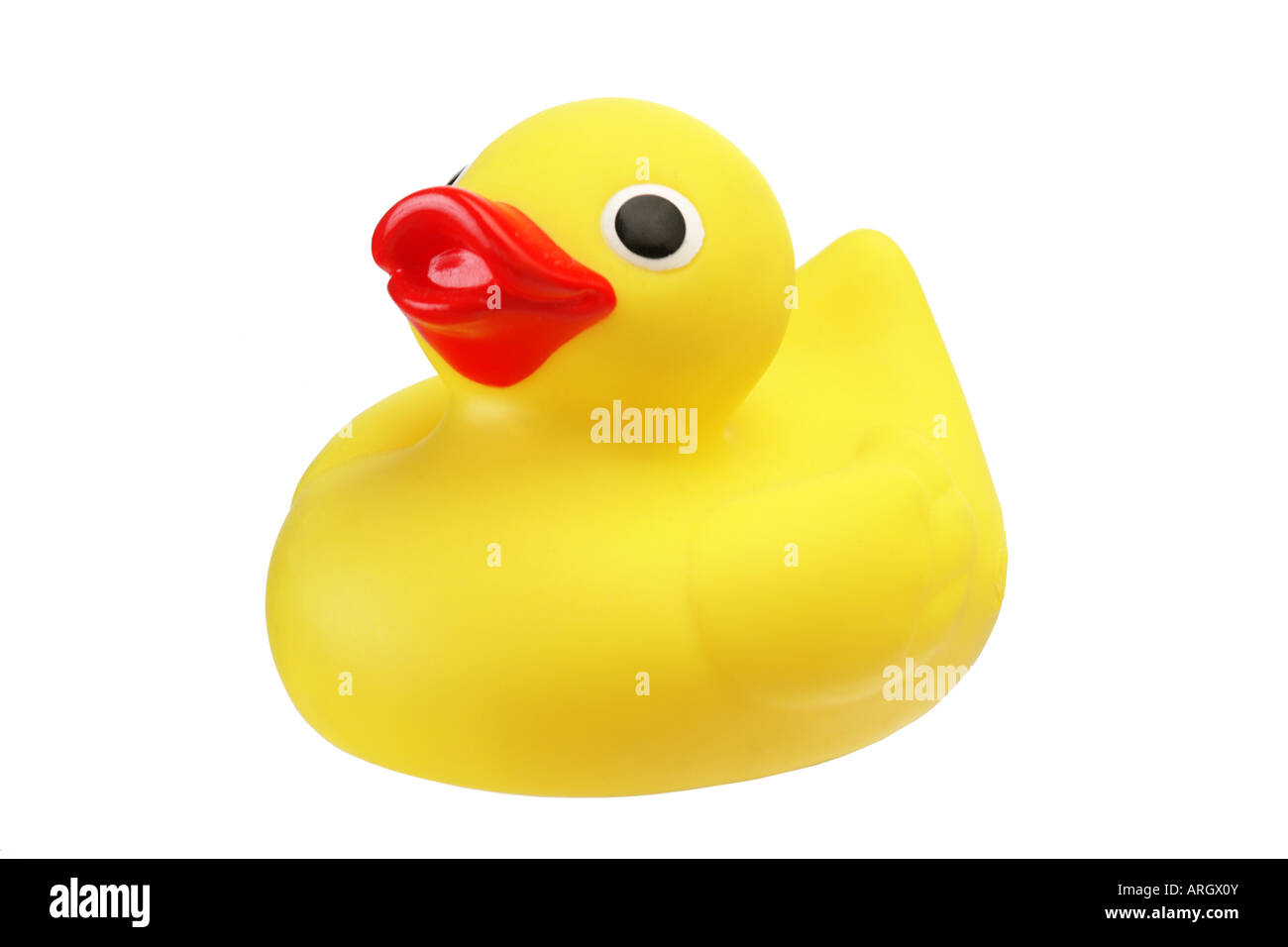 yellow rubber duck on a white background Stock Photo - Alamy