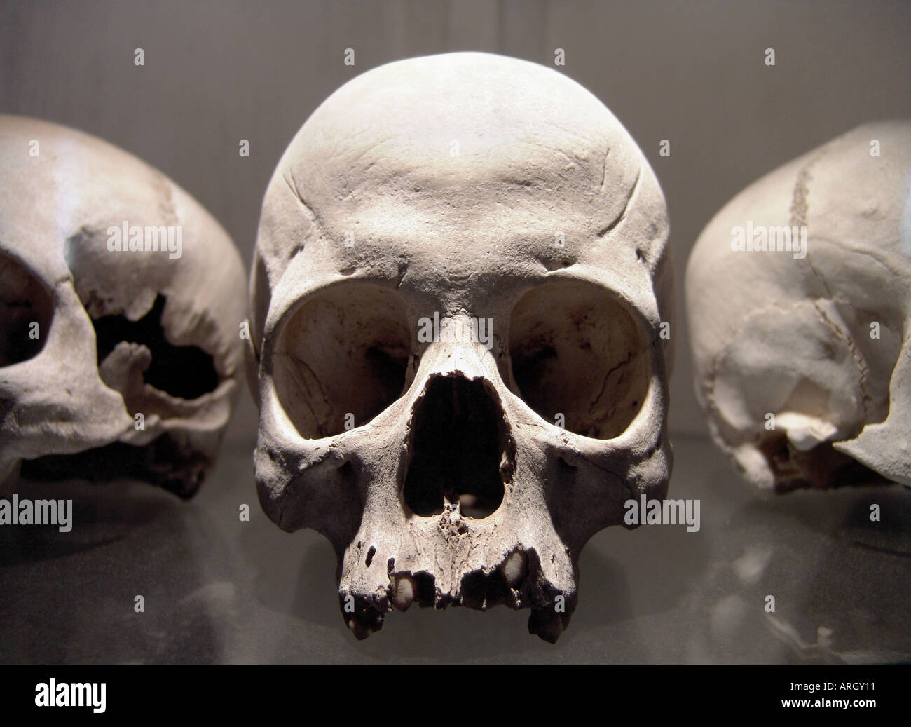 Kostnice Ossuary at Sedlec near Kutna Hora, Czech Republic. Detail of Skulls Stock Photo