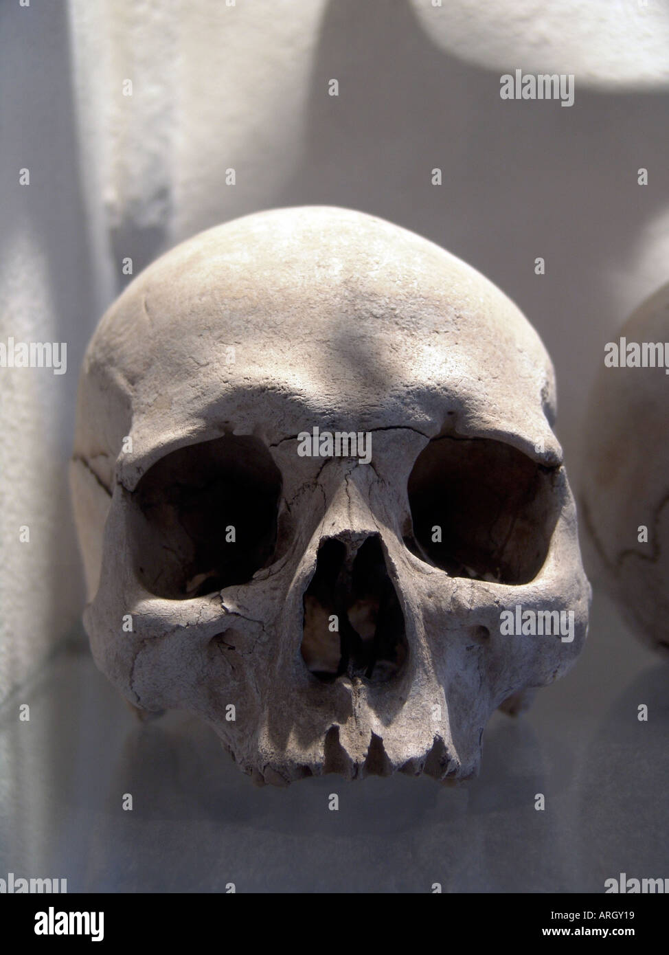 Detail of Skull at the Kostnice Ossuary at Sedlec near Kutna Hora, Czech Republic Stock Photo