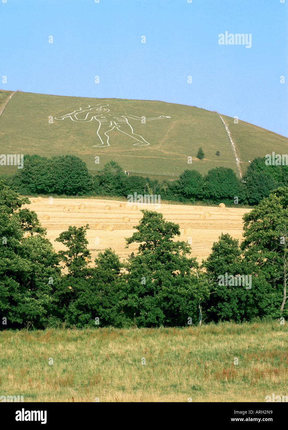 The Cerne Abbas Giant is a turf cut figure on the hillside in Cerne Abbas may date from 180 93AD A fertility symbol Stock Photo