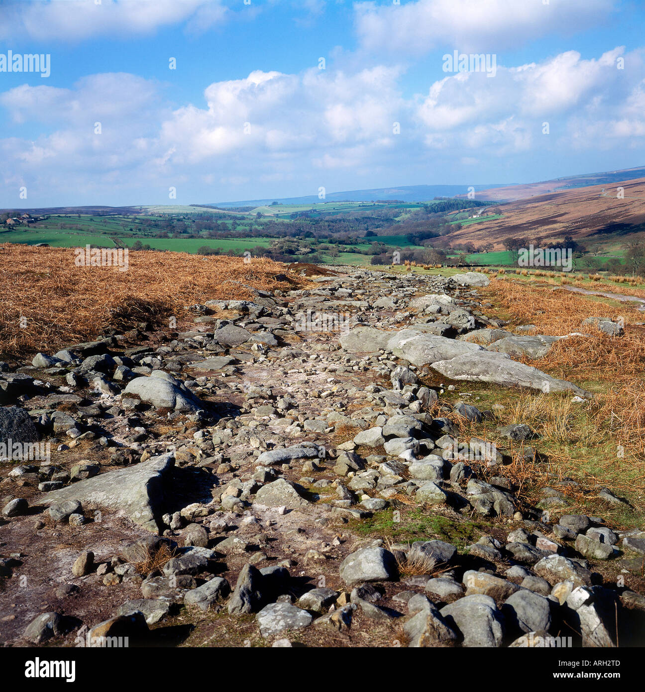 Wade s Causeway the remains of a 5th century Roman road high on Wheedale Moor Stock Photo