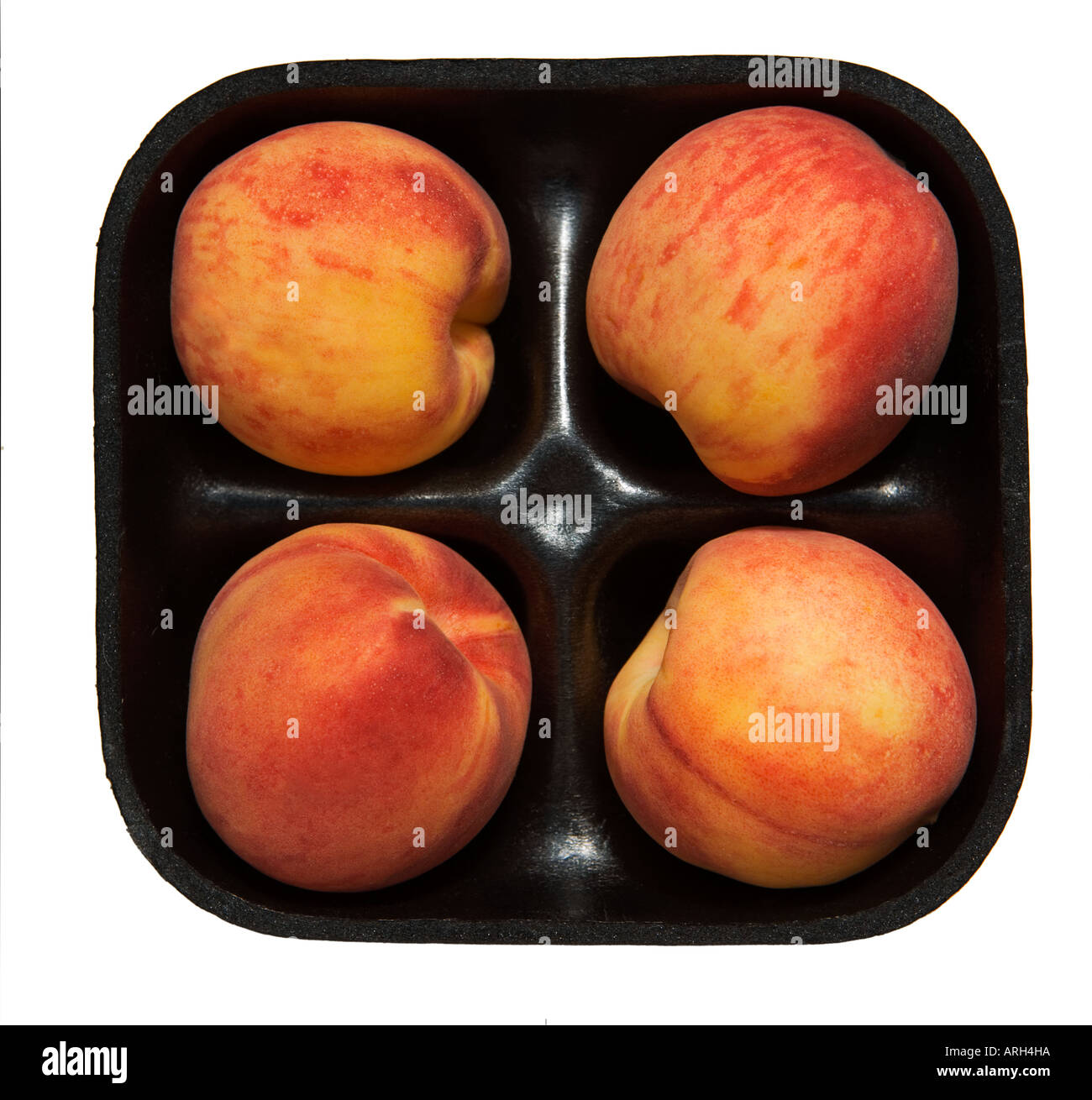 COMMON NAME Peach LATIN NAME Prunus persica Stock Photo Alamy