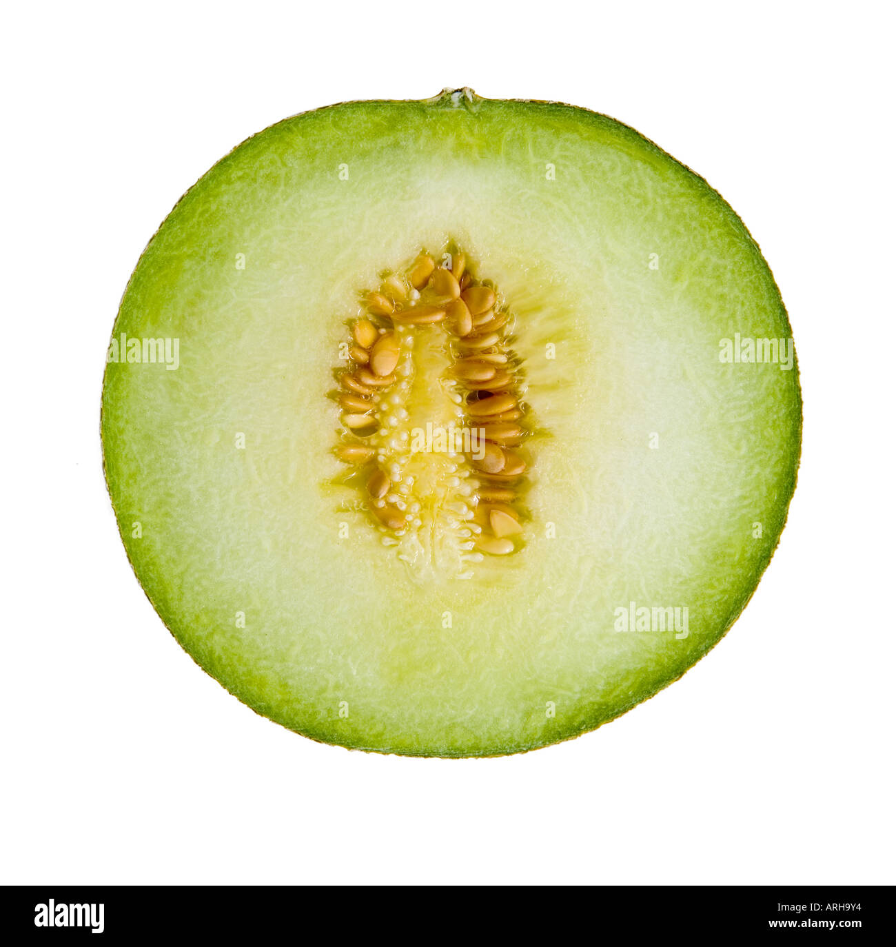 Honeydew Melon Ka Hindi Name at Francis Topper blog