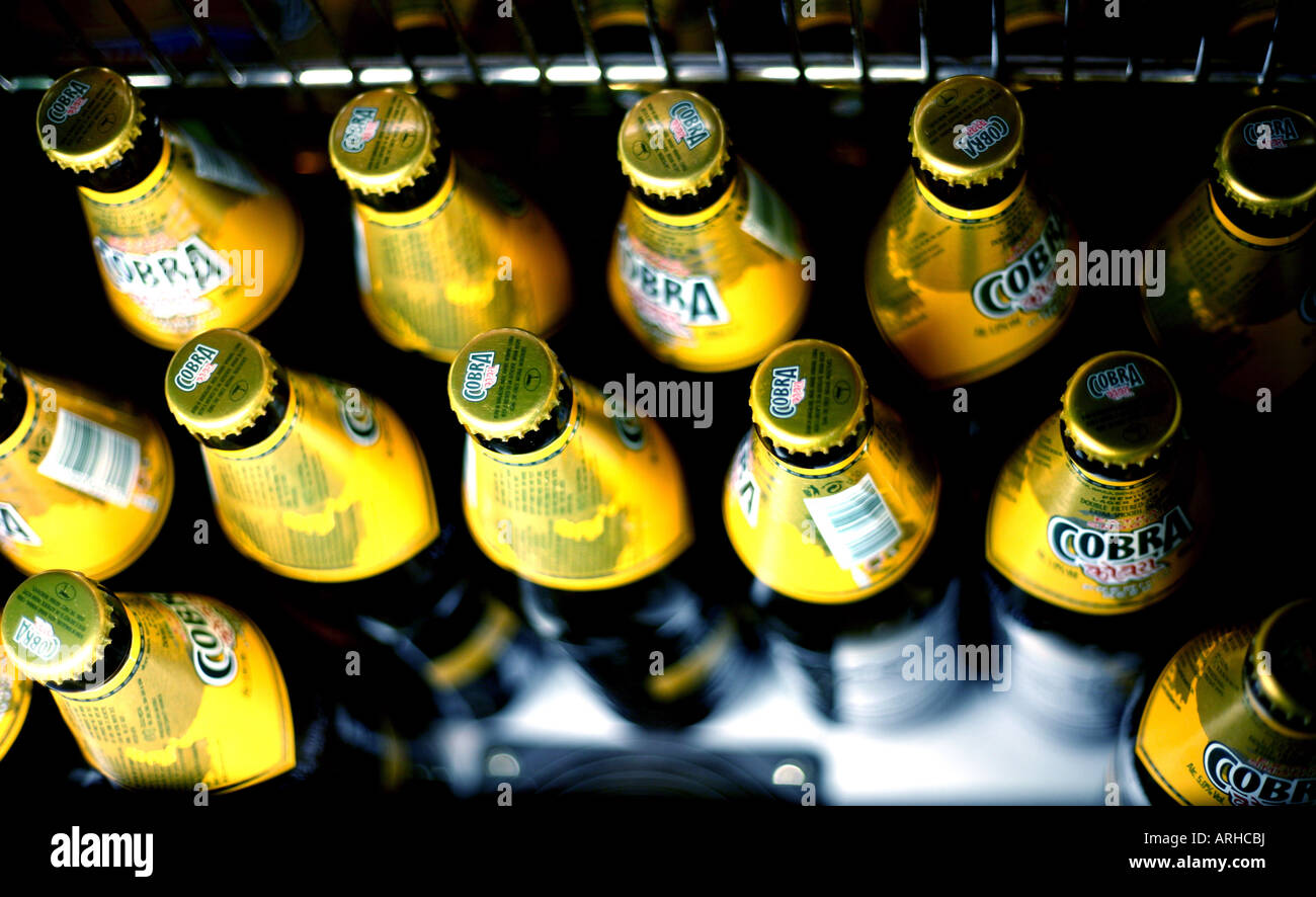 Bottles of Cobra beer in fridge in Indian restaurant London 2007 Stock Photo