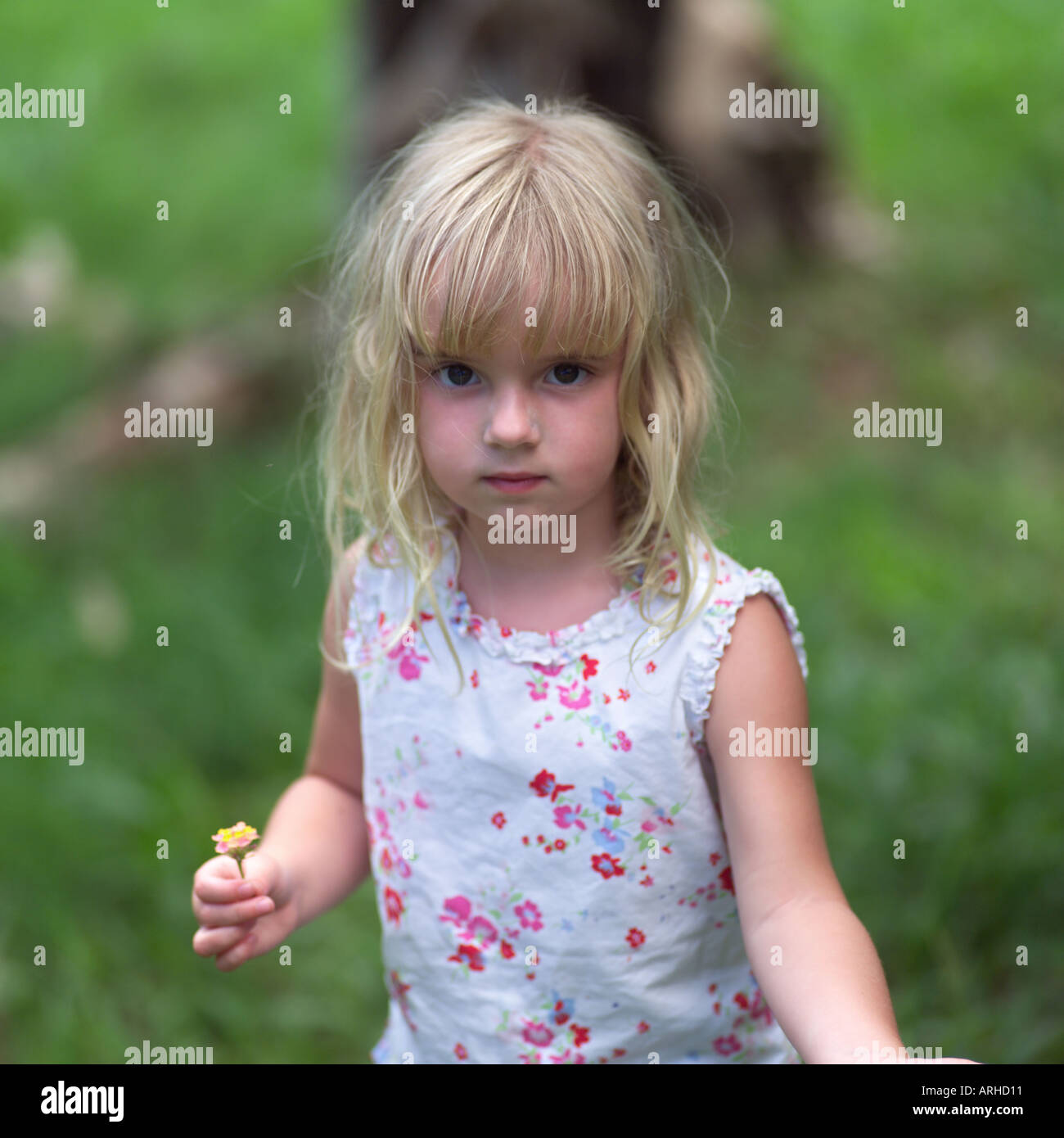 Child looking at flower hi-res stock photography and images - Alamy