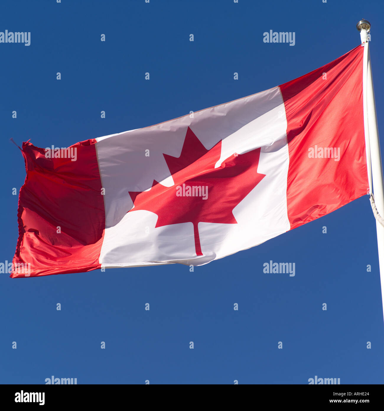 Toronto Colors Canada maple flag toronto hi-res stock photography and images - Alamy