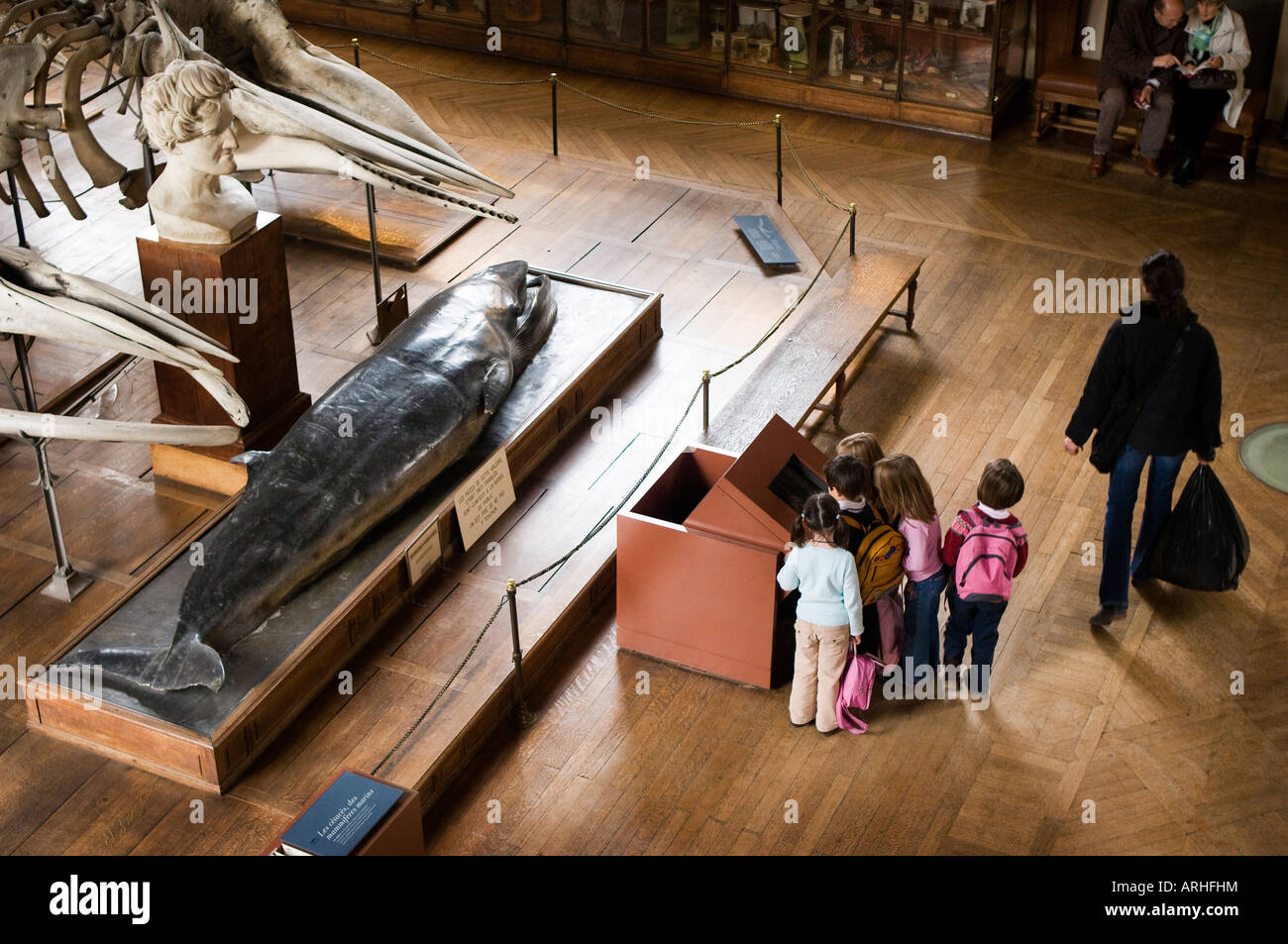 Children reading a visitors information panel in a museum. Stock Photo