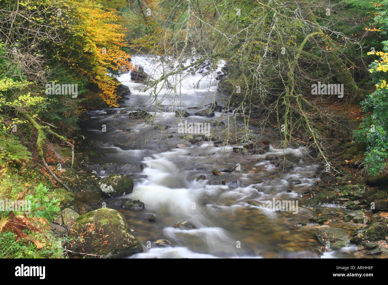 river with autumn colour Stock Photo