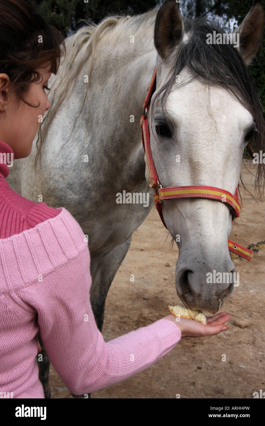 Young woman feeding and caressing a female Spanish horse Stock Photo