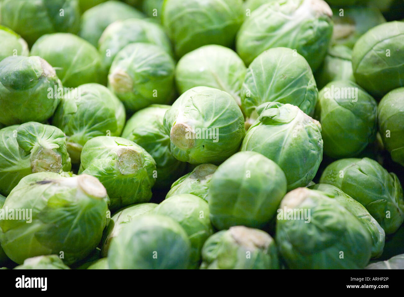 brussels sprout in la boqueria market Stock Photo