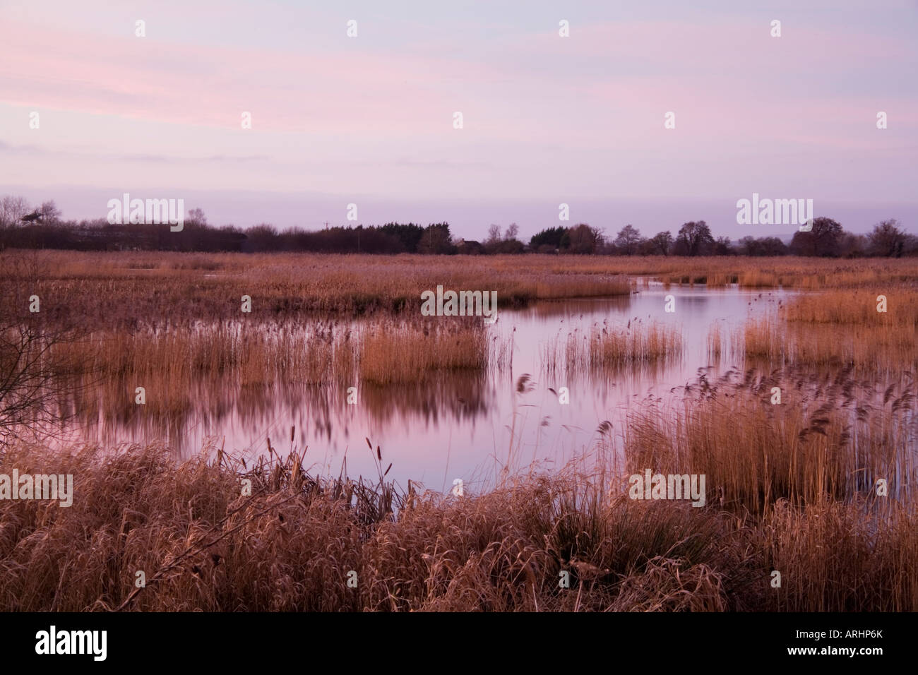 Winter evening at the disused peat workings of the Avalon Marshes near Glastonbury on the Somerset Levels now an RSPB Reserve Stock Photo