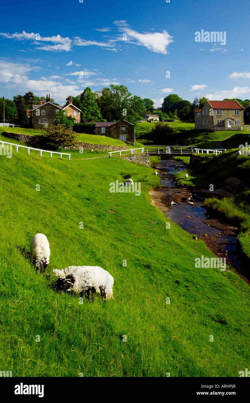 Hutton le Hole village green west side and Hutton Beck with grazing ...