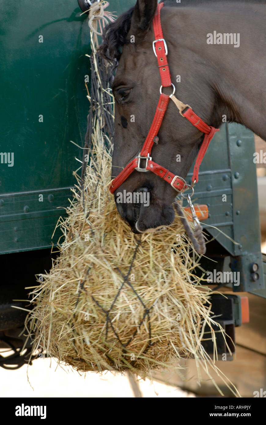 Mucking out the stables hires stock photography and images Alamy
