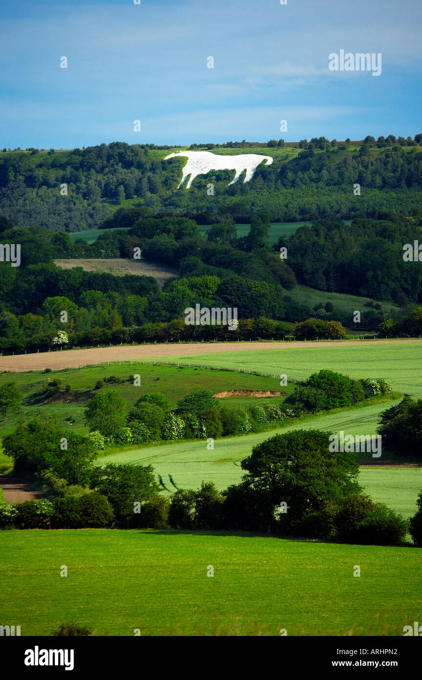 The White Horse Kilburn from Whinny Bank Coxwold Stock Photo