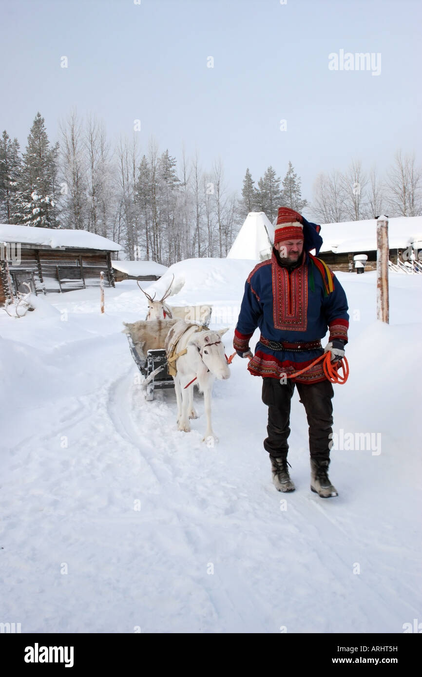 Man Wearing Traditional Clothing Leading Reindeer in Lapland Northern Finland Arctic Circle Stock Photo