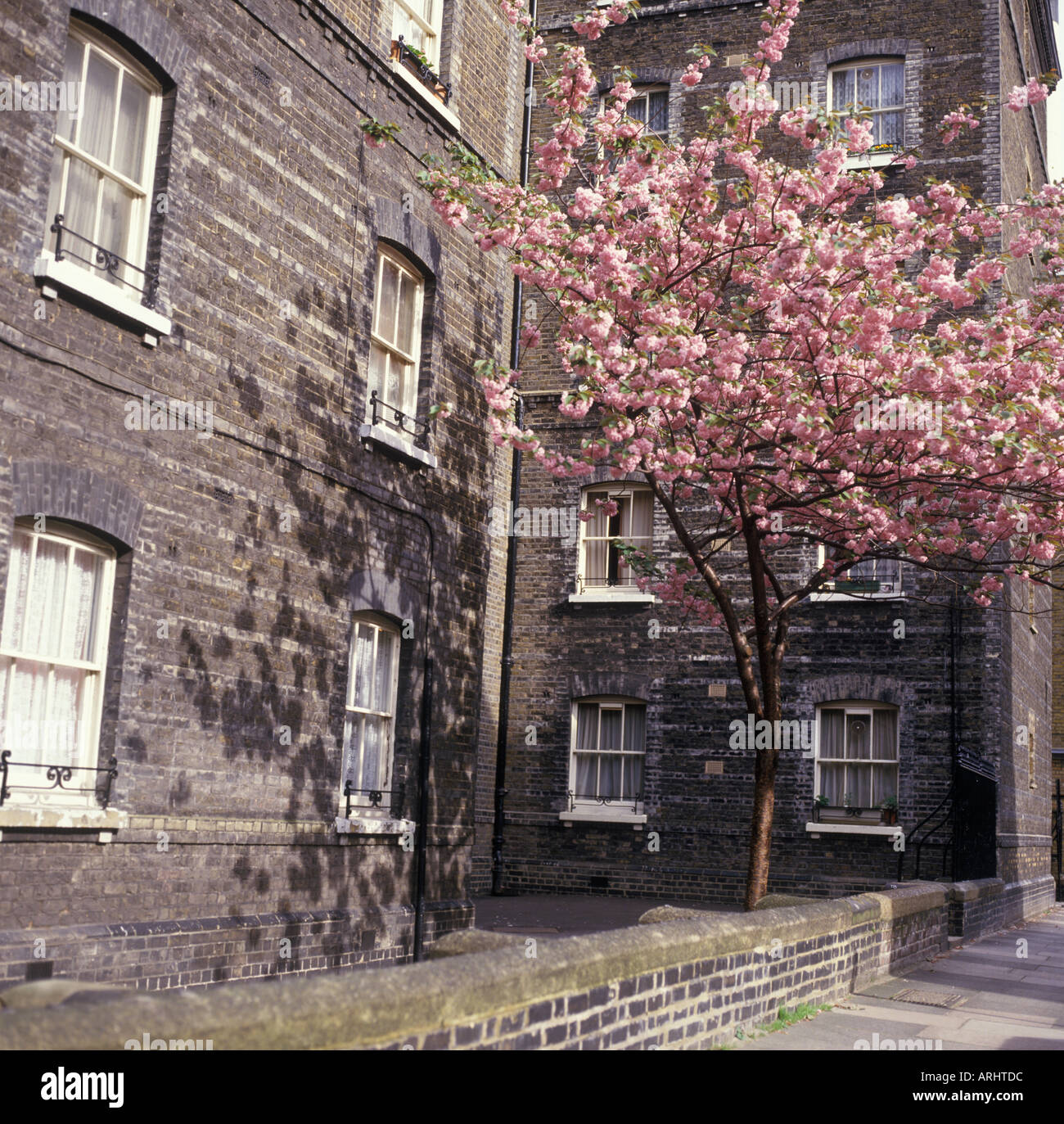 Peabody Trust housing Bloomsbury London England Stock Photo Alamy
