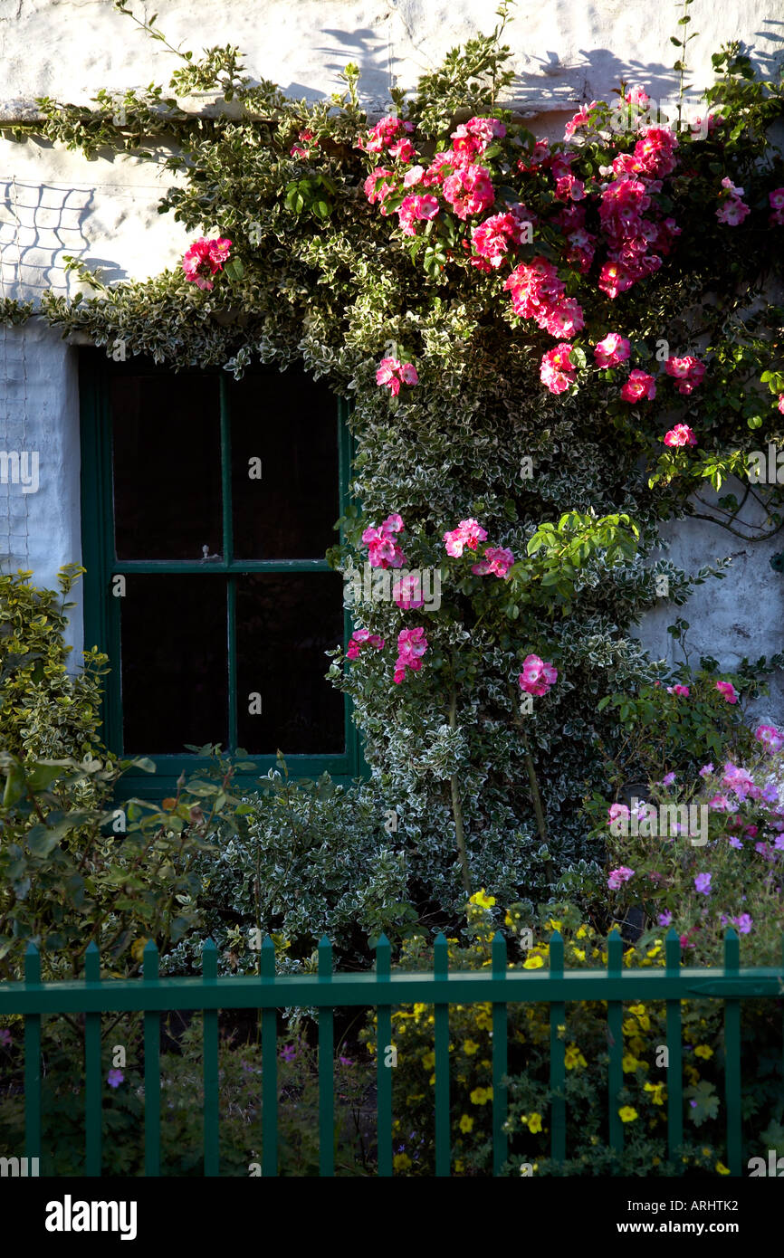Roses garden cottage england hi-res stock photography and images - Alamy