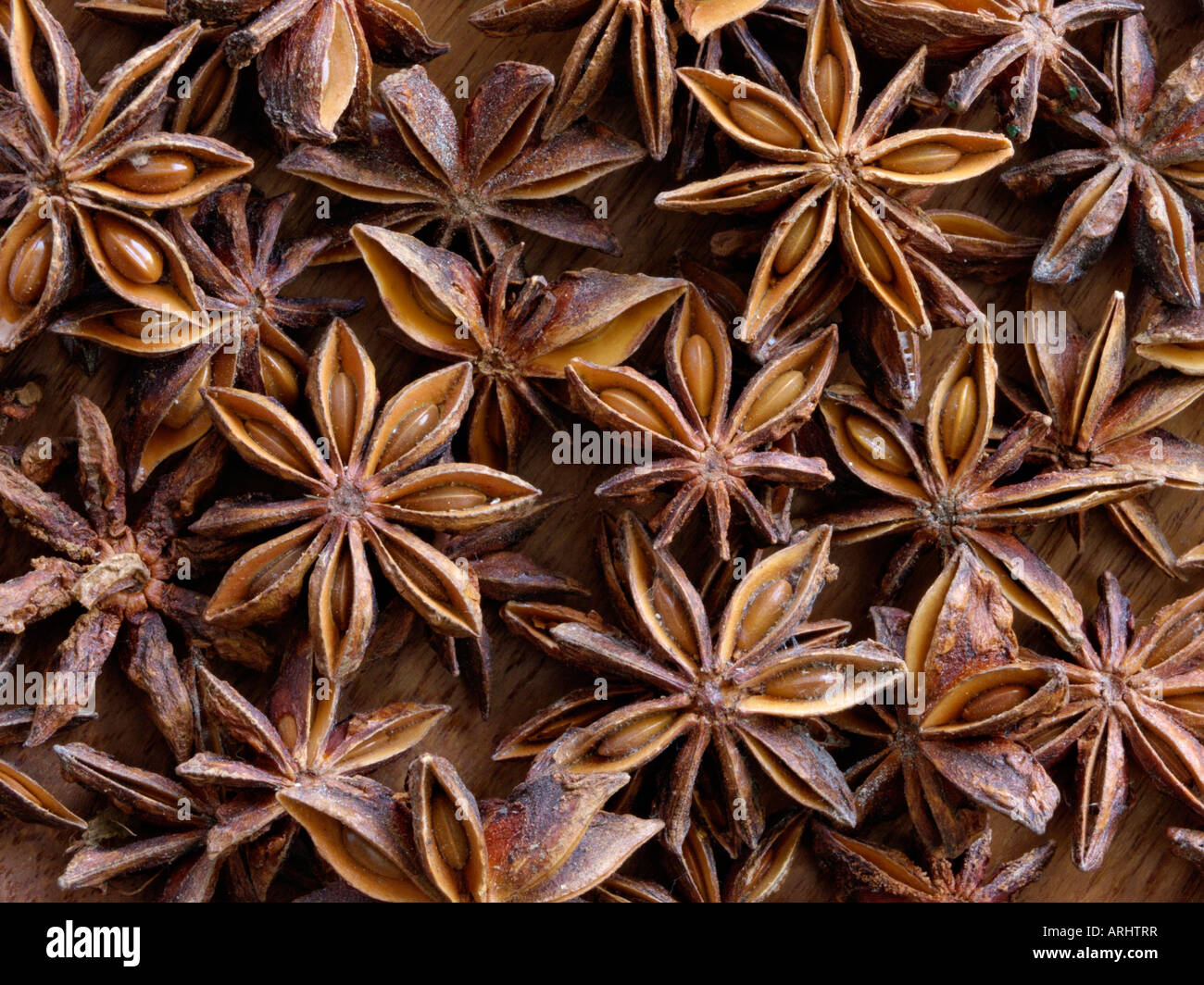 Chinese star anise (Illicium verum Stock Photo Alamy