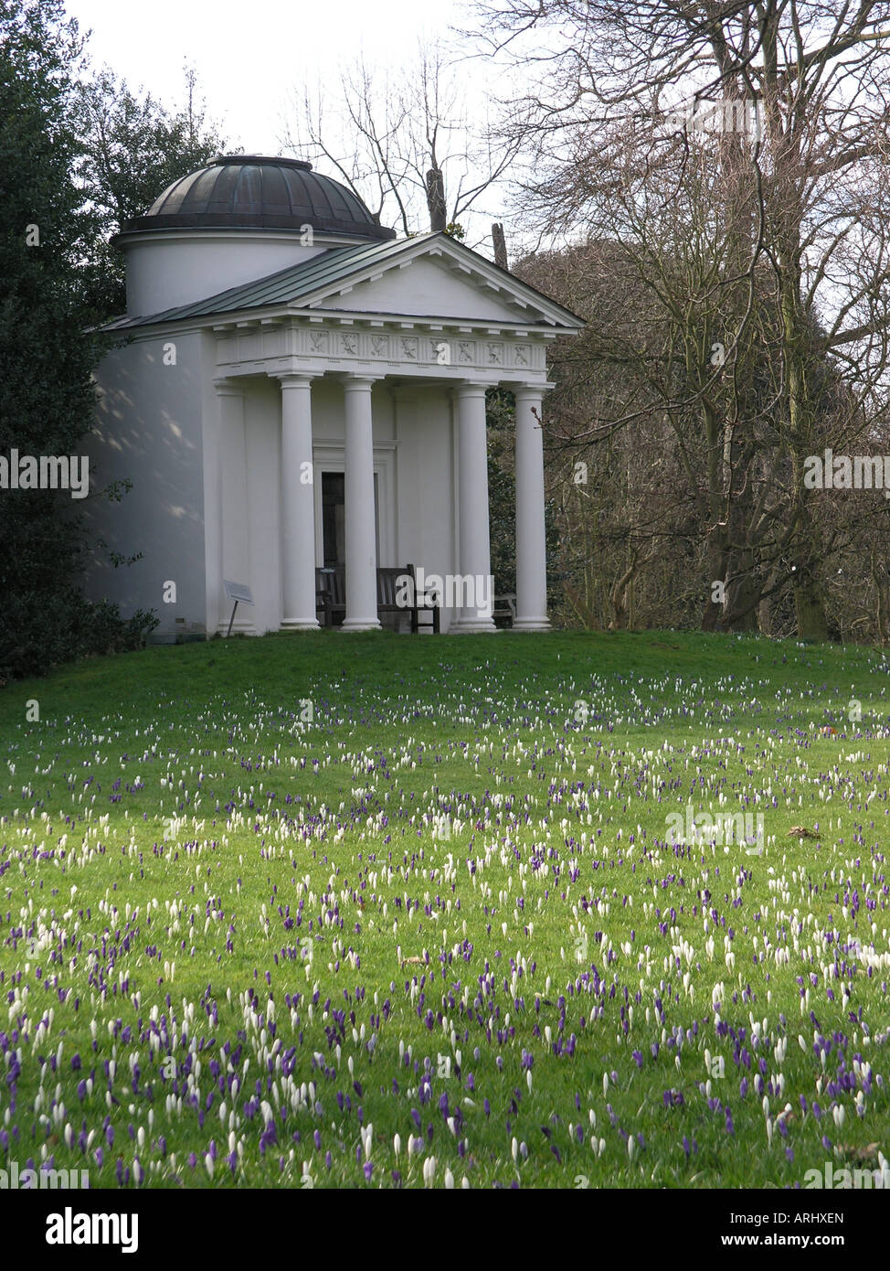 bellona temple crocus carpet victoria gate kew gardens london england uk gb Stock Photo