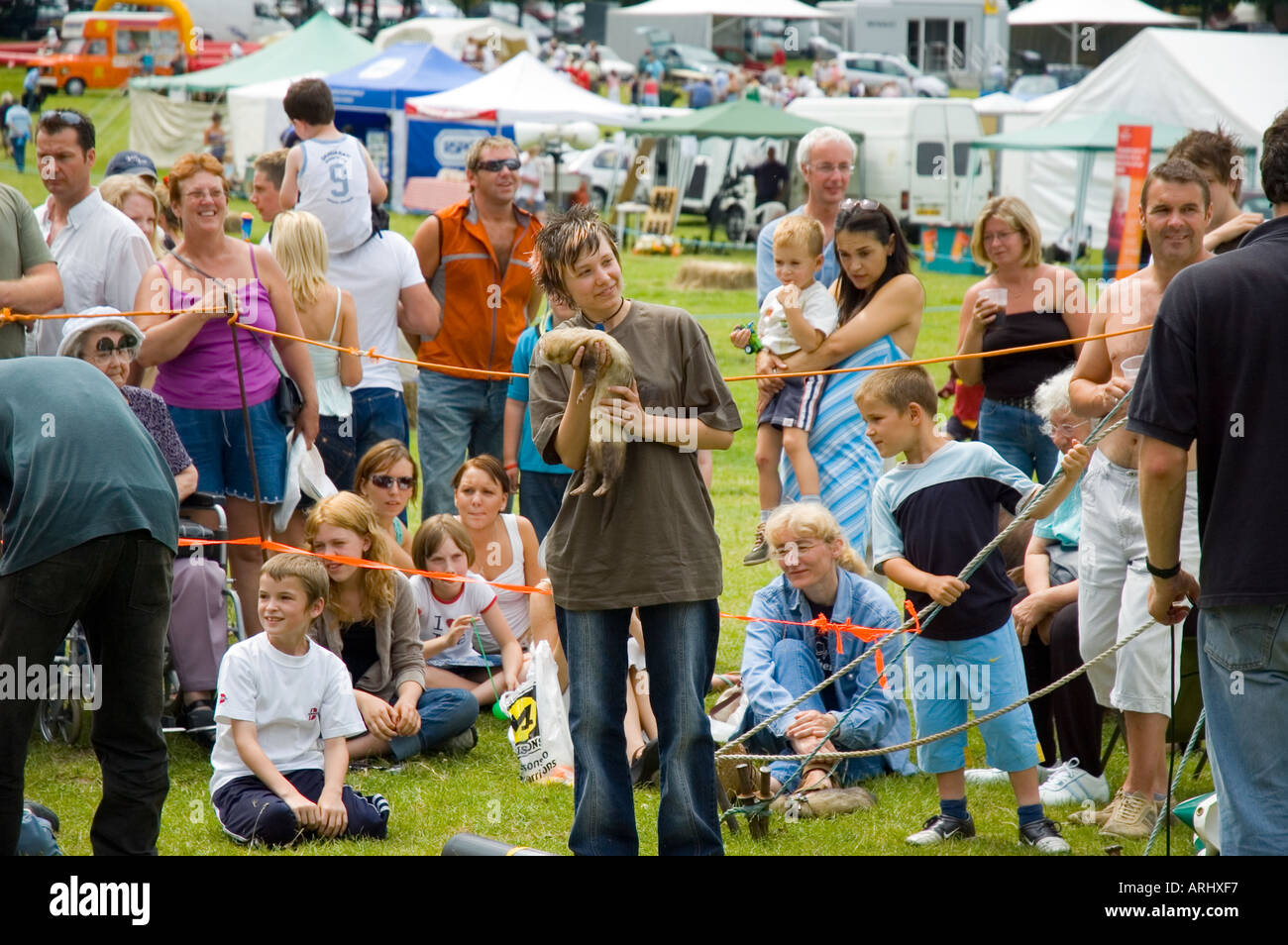 Ferret racing yorkshire hi-res stock photography and images - Alamy