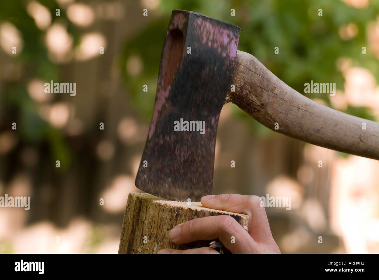 danger for accident dangerous action hand holding a piece of firewood for cutting wood with an