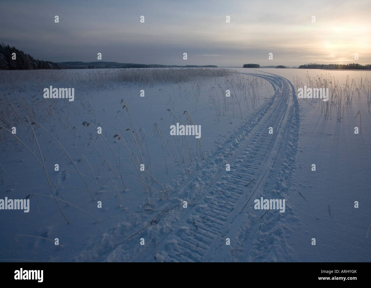 Snowmobile tracks on snow and ice at evening at Winter, Finland Stock Photo