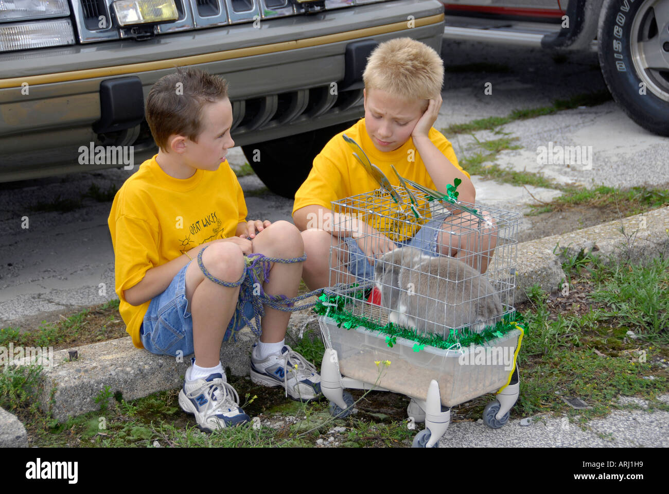 Two boys with a pet rabbit one boy is dejected Stock Photo