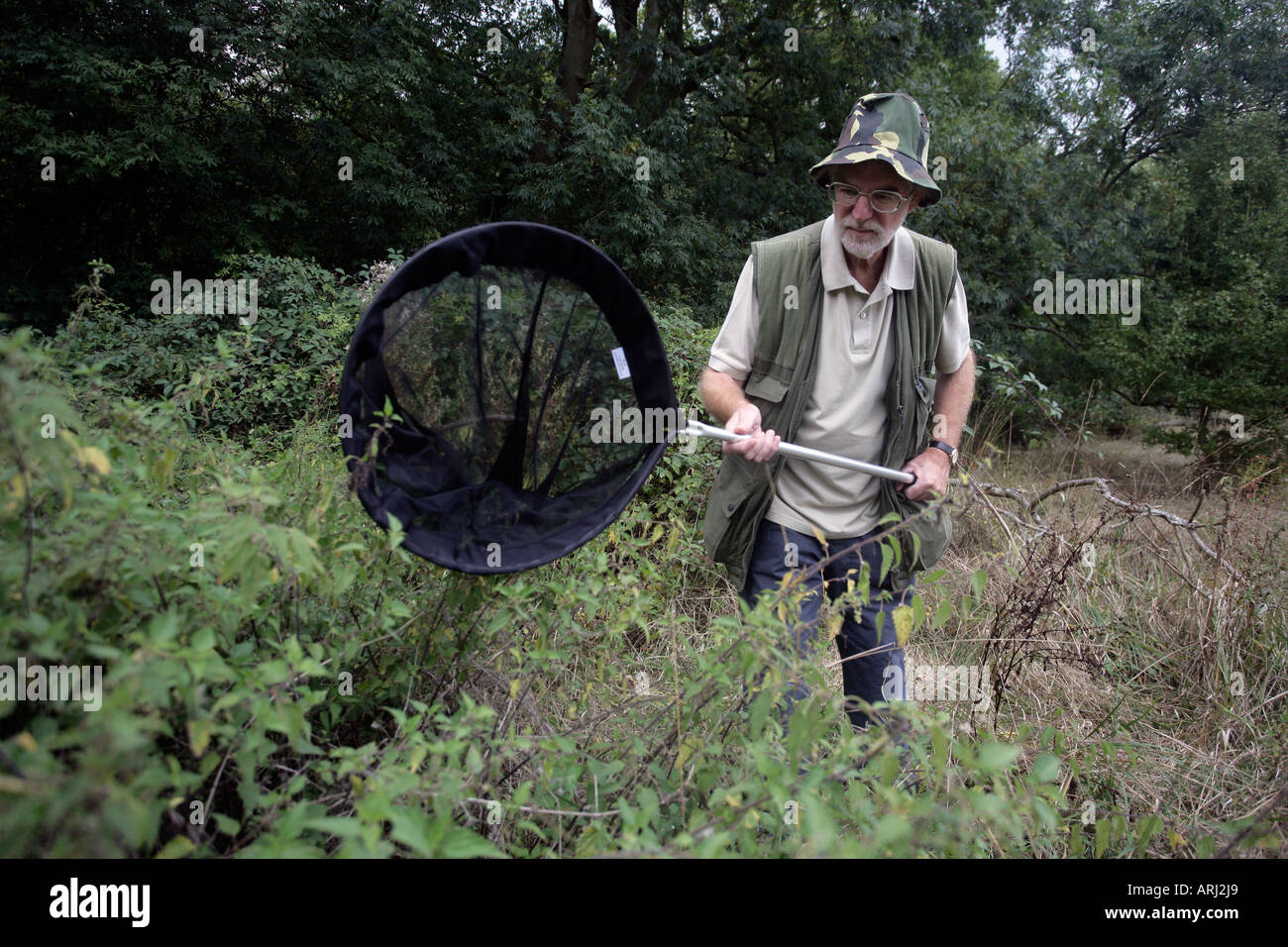 Man with Butterfly net Midlands UK Stock Photo