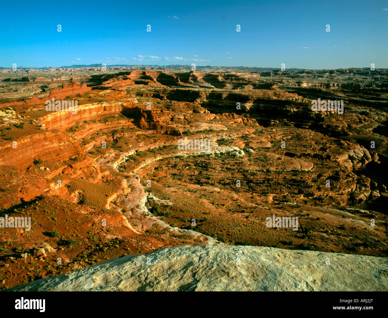 Aerial view of The Needles District of Canyonlands National Park Stock Photo