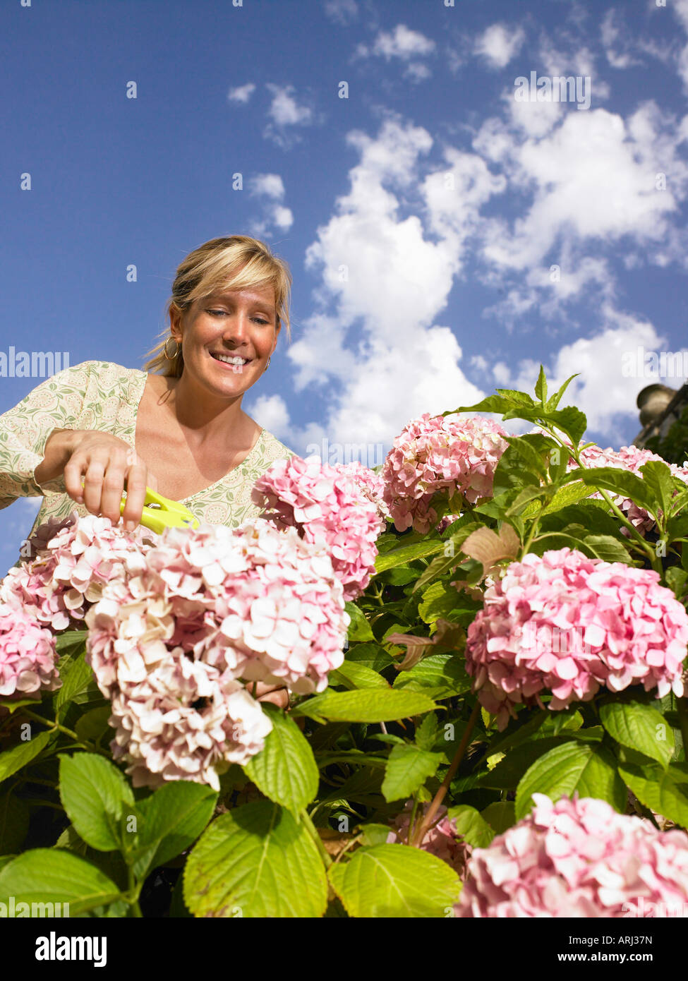 Woman working in the garden Stock Photo