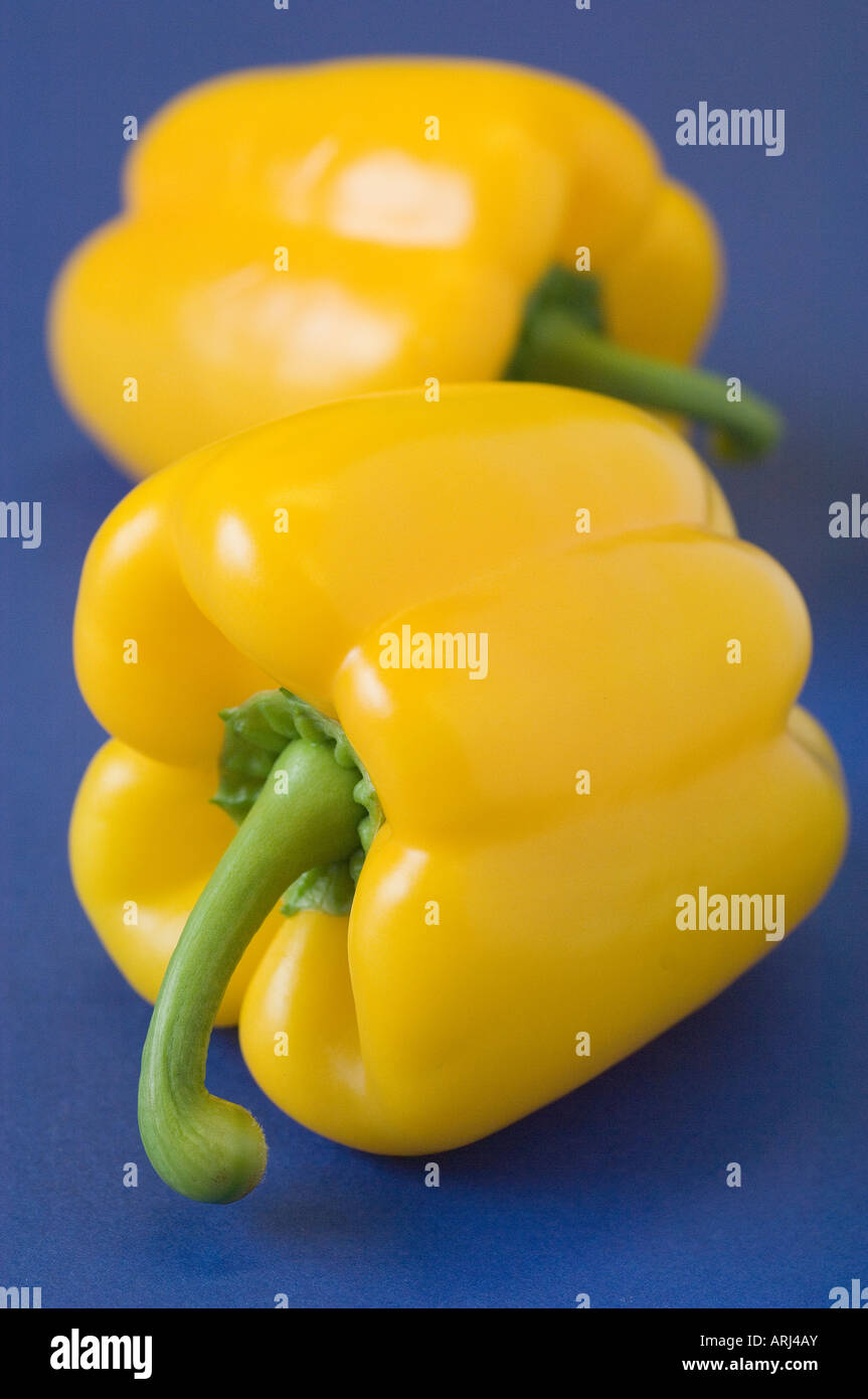 Yellow organic Bell Peppers against a blue background Stock Photo
