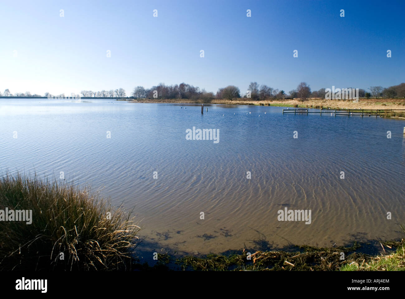 Countrypark countryside hi-res stock photography and images - Alamy
