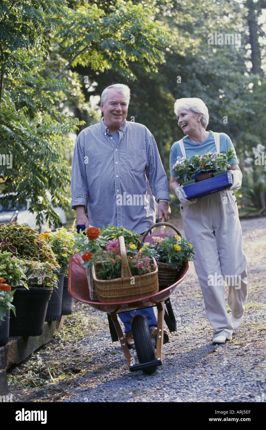Wheelbarrow with potted plants hi-res stock photography and images - Alamy