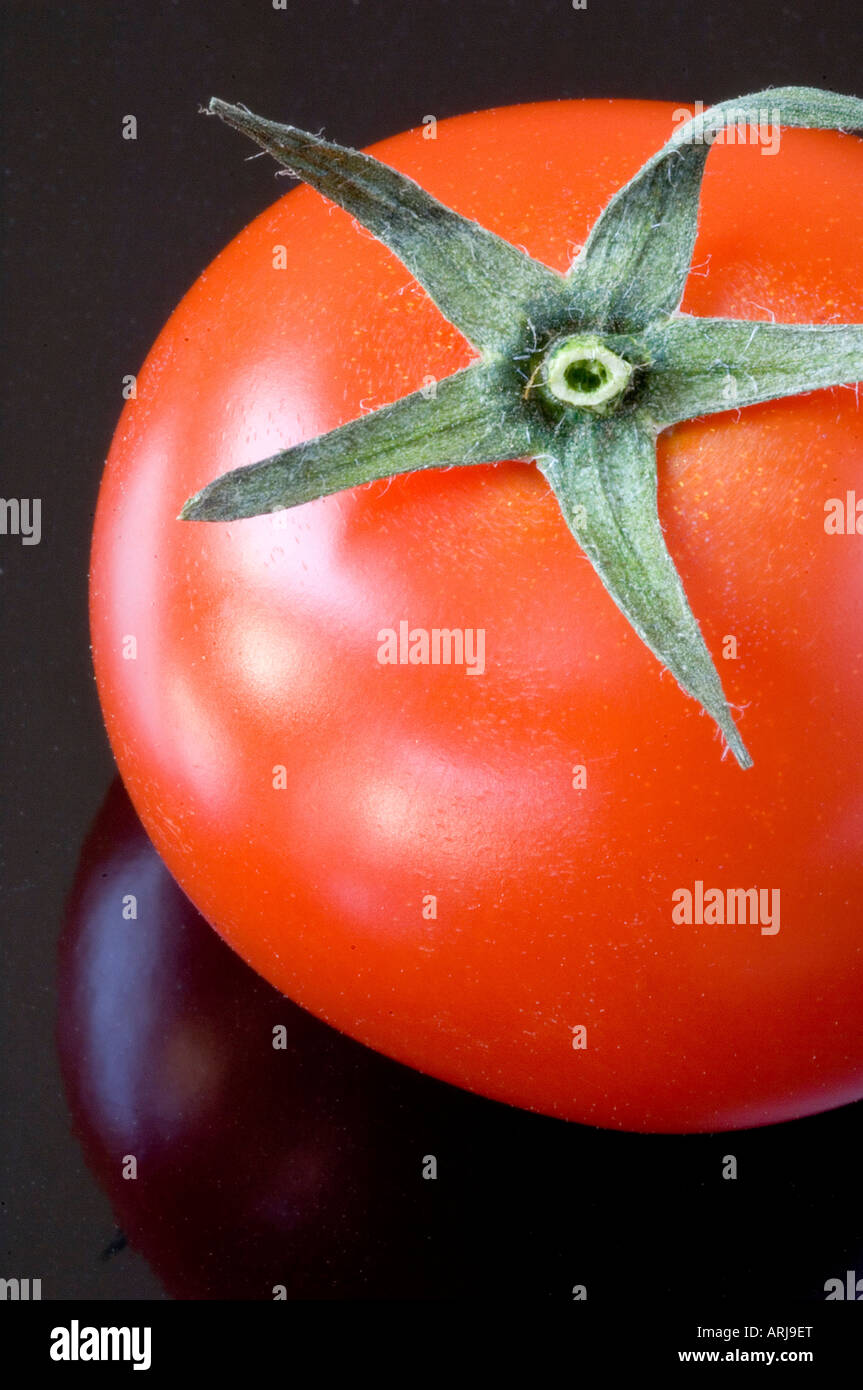 A fresh organic tomato with its stalk attached on a black reflective background Stock Photo